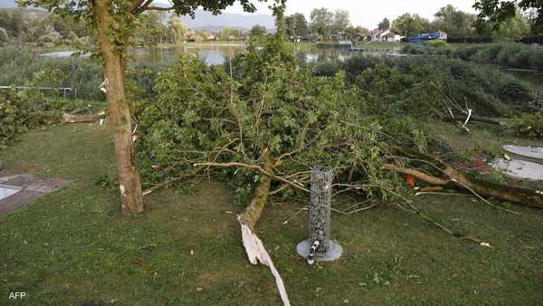 الأشجار تقتل 5 أشخاص في النمسا