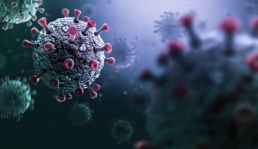 أعراض خطيرة يسببها فيروس بواسان.. تعرف عليها