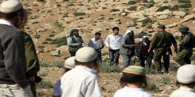 مستوطنون يعتدون على ممتلكات الفلسطينيين غرب سلفيت