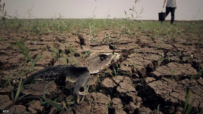 نوبات الجفاف تتزايد.. ما هي الرسائل التي يبعث المناخ بها؟