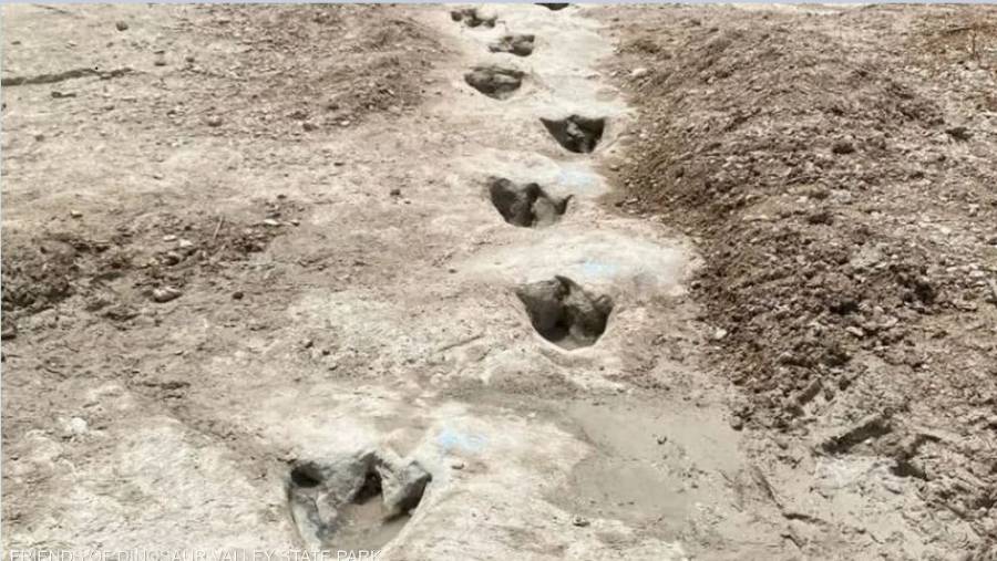 الجفاف يتيح اكتشاف آثار ديناصورات في قاع نهر بولاية تكساس الأمريكية