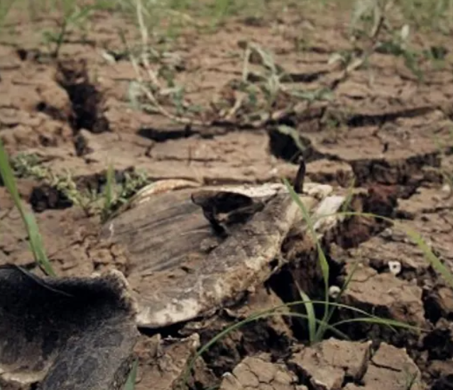 هذا ما فعله الجفاف في الصين