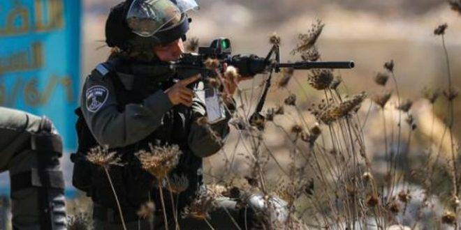 إصابة فلسطيني برصاص قوات الاحتلال شمال طولكرم