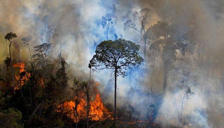 الأمازون تشهد أكبر حرائق منذ 15 عاما.. رئة العالم تحترق (صور)