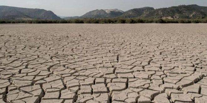 تحذيرات من أسوأ موجة جفاف تضرب القرن الأفريقي منذ أربعة عقود