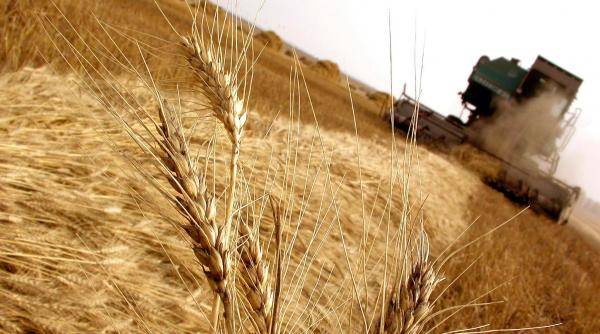 تخصيص 1.46 مليار دولار لدعم الإغاثة من الجفاف وإنتاج الحبوب في الصين