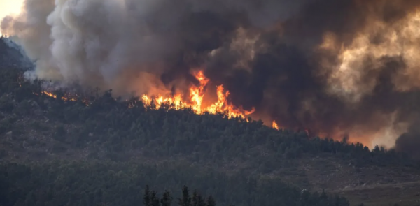 حرائق الغابات في المغرب .. تأثيرات بيئية وخسارة موارد الرزق