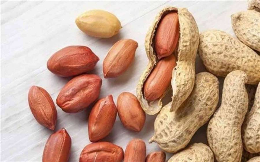الفول السوداني.. الحل الأمثل لفقدان الوزن والحفاظ على صحة القلب