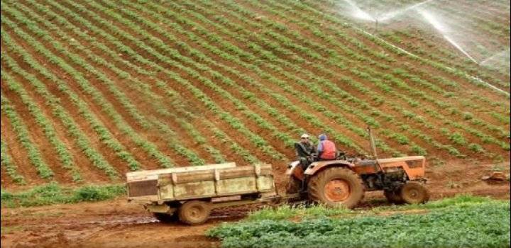 الجزائر تنتج أكثر من 70 من حاجيات البلاد الغذائية