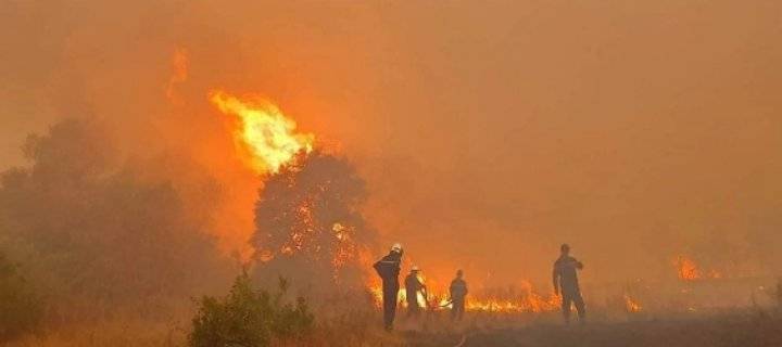 الجزائر: مليون دينار لعائلات قتلى حرائق الغابات