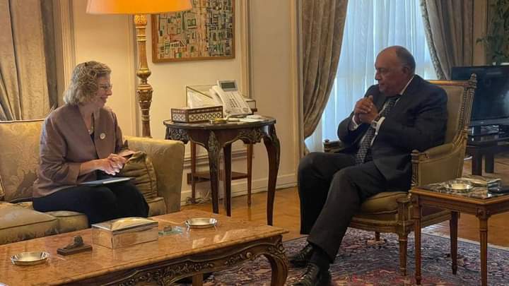 وزير الخارجية المصري يلتقي المديرة التنفيذية لبرنامج الأمم المتحدة للبيئة