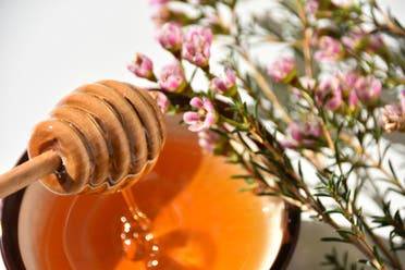 يشفي من التهابات الرئة الخطيرة.. علاج جديد من عسل مانوكا