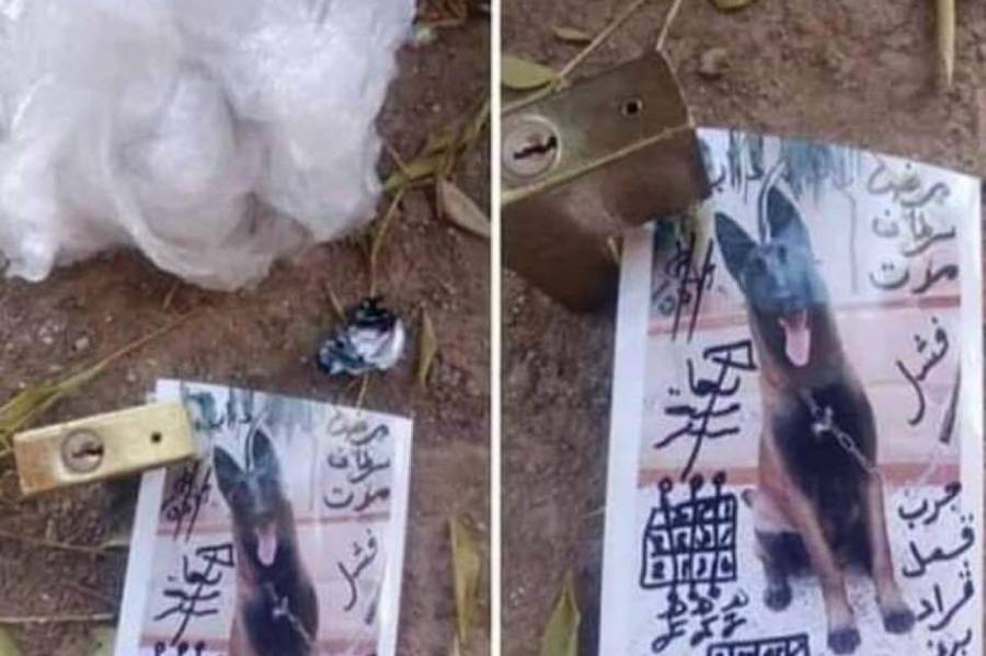 تفسير امرأه تدفن السحر في حديقة منزلك