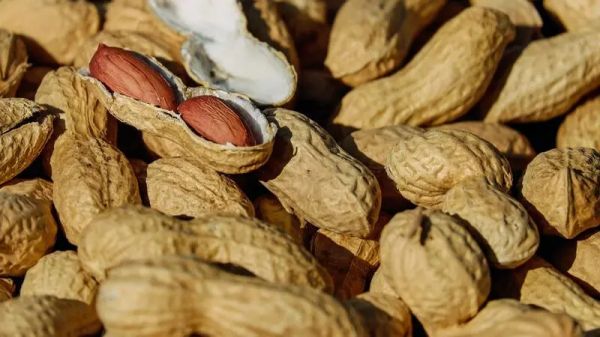 الفوائد الصحية والآثار الجانبية للفول السوداني