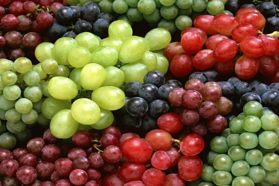 العنب للوقاية من أمراض القلب والسرطان... تفاصيل