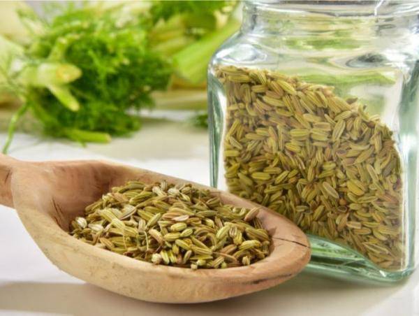 ما لا تعرفه عن فوائد الشمر للكرش وخسارة الوزن