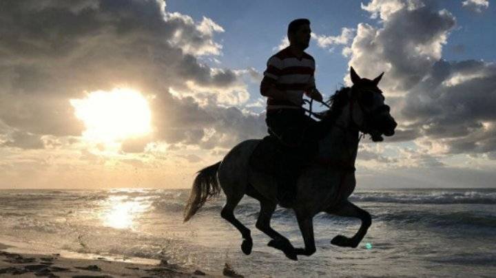 ما تفسير حلم ركوب الخيل؟