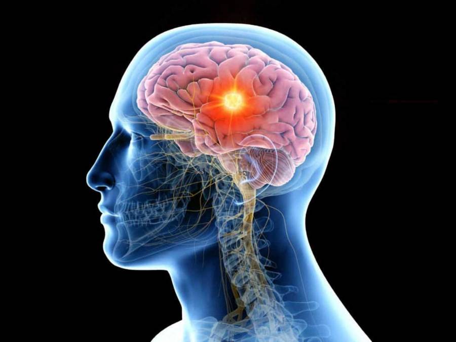 باحث مصري يكشف تفاصيل علاج محتمل لسرطان الدماغ