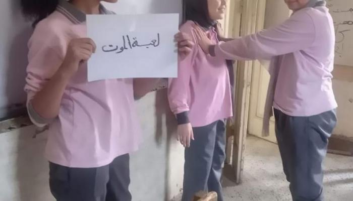 تيك توك داخل البرلمان المصري.. ما القصة؟