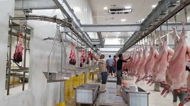 الاحتكار يهدد صناعة اللحوم الأمريكية .. 4 شركات تسيطر على 85  من السوق