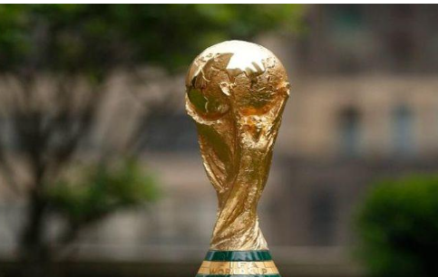 هل تستضيف مصر كأس العالم؟