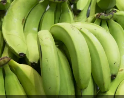 الموز الأخضر.. فائدة غير متوقعة لا تخطر على البال