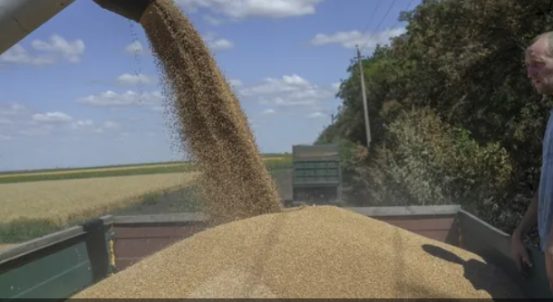 أسعار القمح تتراجع بعد استئناف اتفاق تصدير الحبوب الأوكرانية