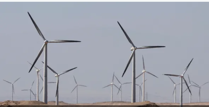 صندوق عُمان السيادي يدرس الاستثمار في محطة رياح بمصر