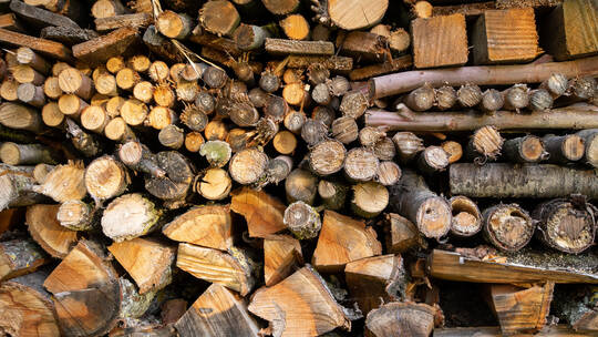 اليونان تحظر تصدير الأخشاب