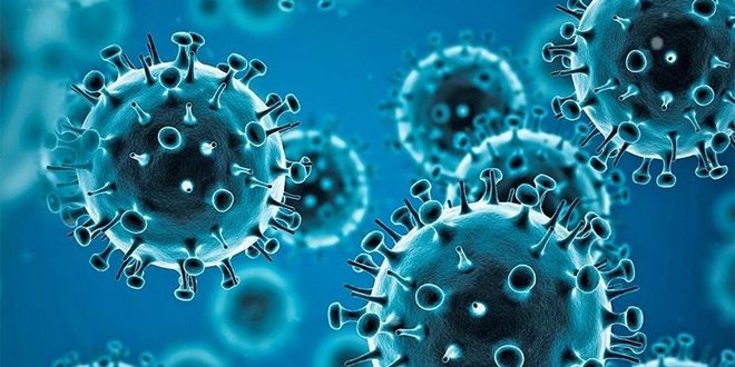 سوريا: تسجل إصابة واحدة بكورونا وشفاء حالة