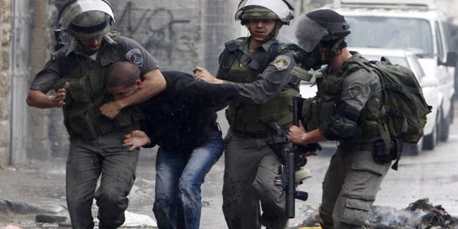 قوات الاحتلال تعتقل سبعة فلسطينيين في الضفة الغربية