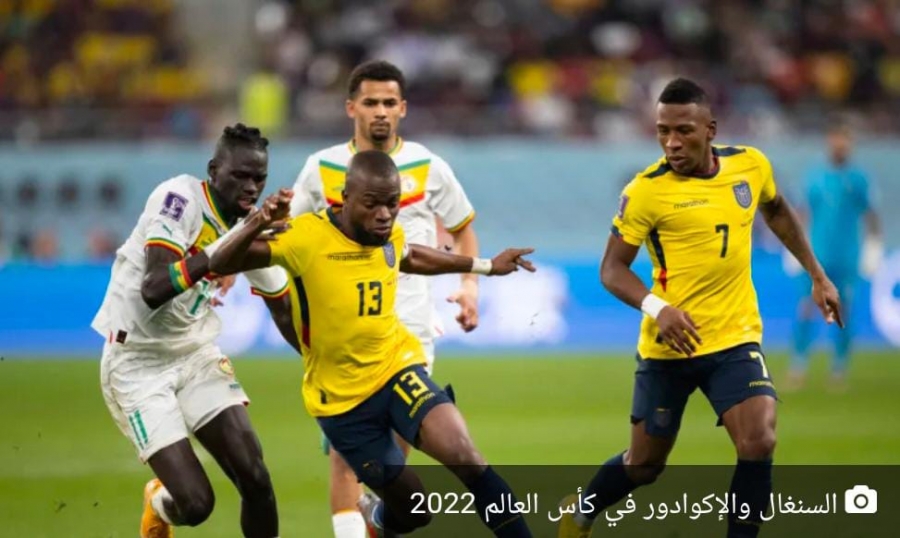 منتخب السنغال يفوز على الإكوادور ويرافق هولندا إلى دور الـ16 بكأس العالم