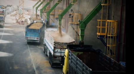 مدير الصوامع: لا تأثير على سلاسل الإمداد ومخزون القمح والشعير آمن