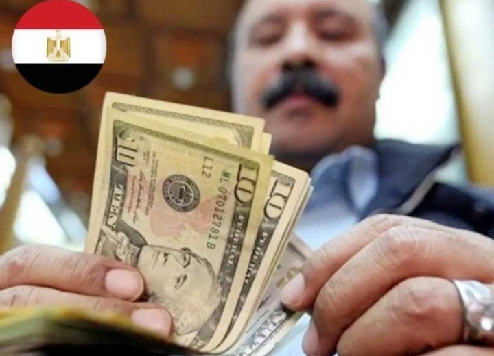 «المركزي المصري»: 10 سنوات حبس وغرامة تصل لـ 5 ملايين جنيه عقوبة تحويل أموال المصريين بالخارج بطرق غير مشروعة
