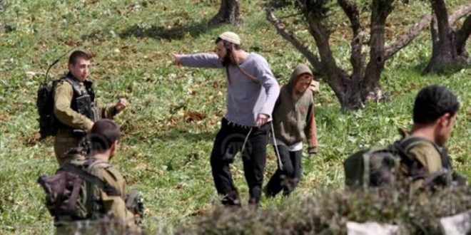 مستوطنون يعتدون على فلسطينيين جنوب الخليل ويستولون على أراض في الأغوار الشمالية
