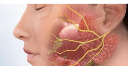 تعرفي على أعراض إصابة العصب السابع