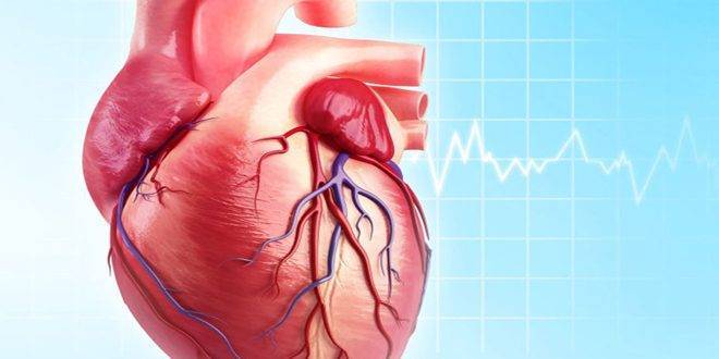 احتشاء العضلة القلبية.. أعراضه وطرق الوقاية منه