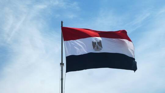 مصر تحذر من القوات الأجنبية