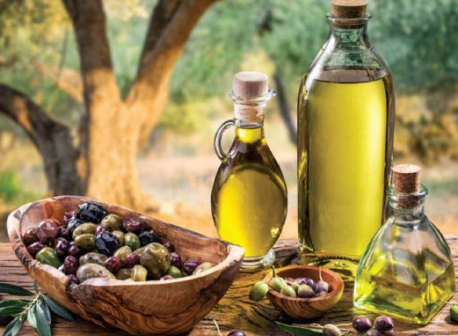فوائد زيت الزيتون في تنظيم ضربات القلب وضغط الدم وسلامة وكفاءة وظائف الجهاز العصبي