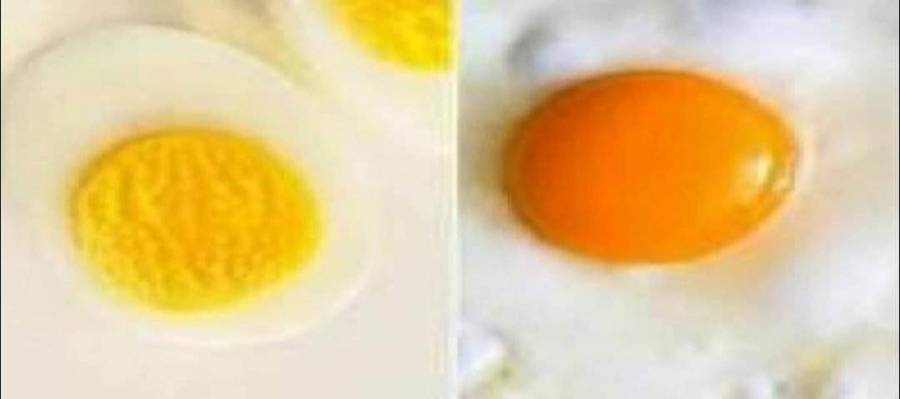 أيهما أكثر فائدة البيض المسلوق أم البيض المقلي