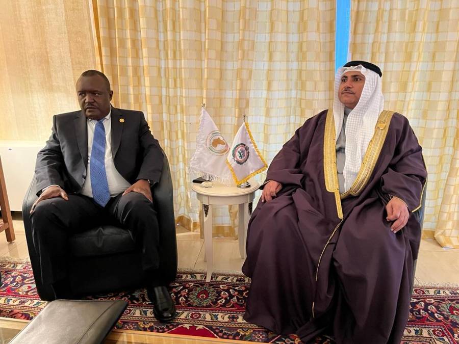 *رئيس البرلمان العربي ورئيس برلمان أفريقيا يبحثان مجالات التعاون والتنسيق في المحافل الدولية لمواجهة التحديات المشتركة*