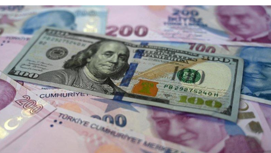 الليرة التركية تهوي إلى مستوى قياسي