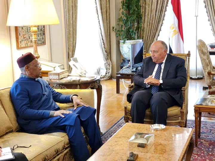 وزير الخارجية المصري يستقبل الممثل الخاص للأمين العام للأمم المتحدة إلى ليبيا