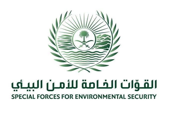 السعودية ..ضبط 61 مخالفًا لنظام البيئة لارتكابهم مخالفات رعي