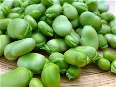 فوائد الفول الأخضر أبرزها الوقاية من ارتفاع ضغط الدم