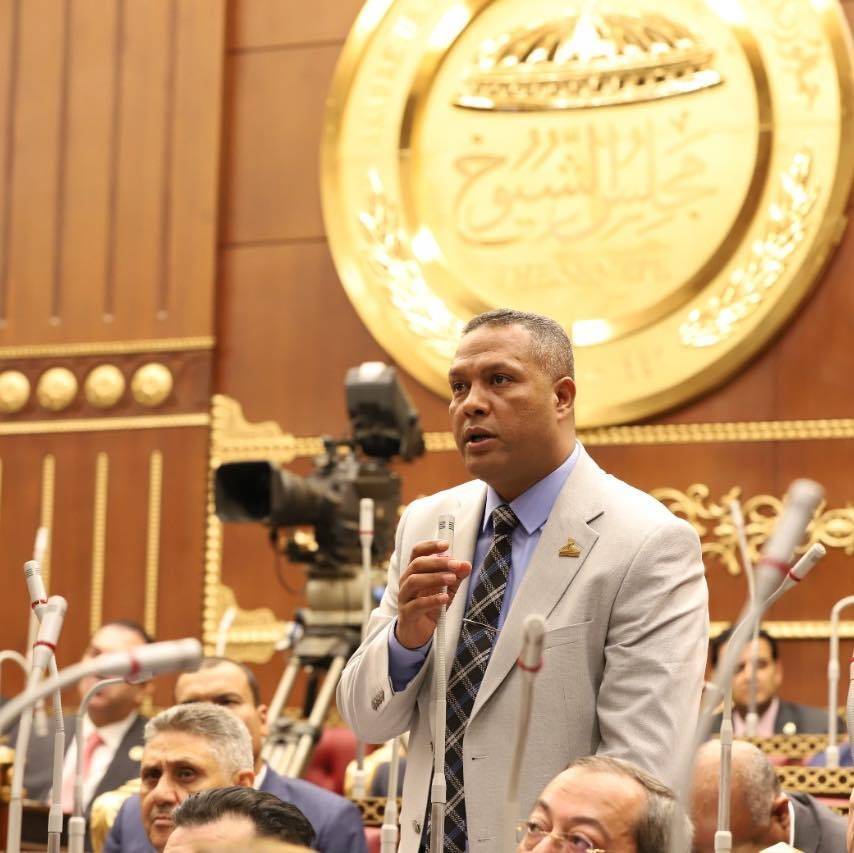 النائب محمد حمزه : ما شهدته سيناء معجزة بكل المقاييس