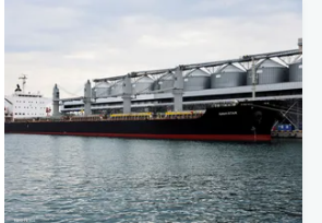 كييف تجري محادثات مع شركائها حول تمديد اتفاق تصدير الحبوب