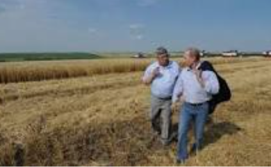 روسيا : 30 مليون طن من الحبوب متاحة للتصدير