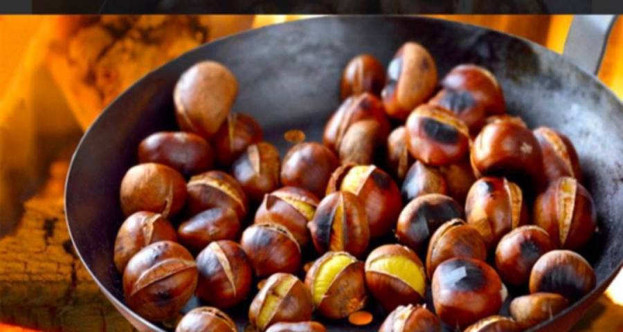 ماذا يحدث للجسم عند تناول الكستناء للدماغ والعظام والقلب