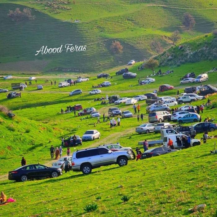 12.000 ألف زائر استمتعوا بربيع لواء الكوره إربد ....صور